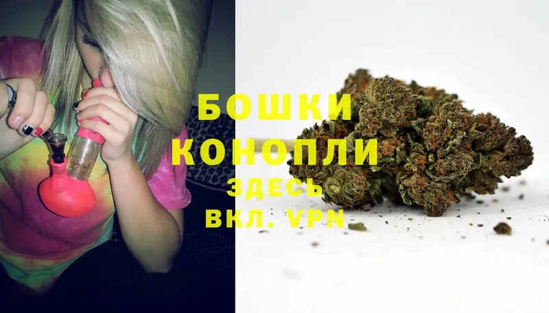 Конопля White Widow  Никольское 